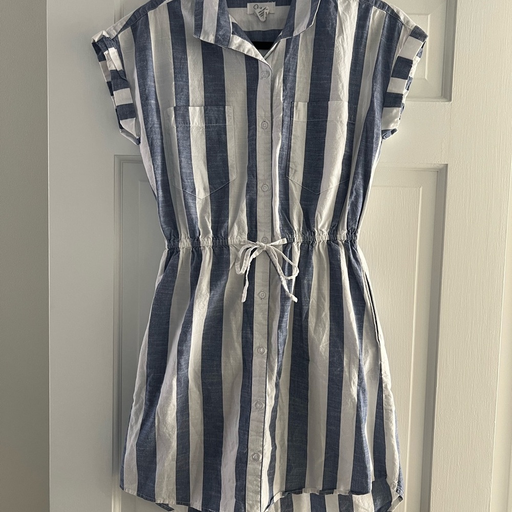 Japna Blue and White Striped Mini Dress